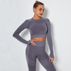 Dropshipping Gym Fitness Wear Seamless Tops Workout Fit Shirt Girls Sexy Long Sleeve Cropped Tops