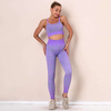 Woman's Seamless Striped Sports Suit Compression Sport Bra and Matching Pants Yoga Sets Gym Fitness Wear Suits